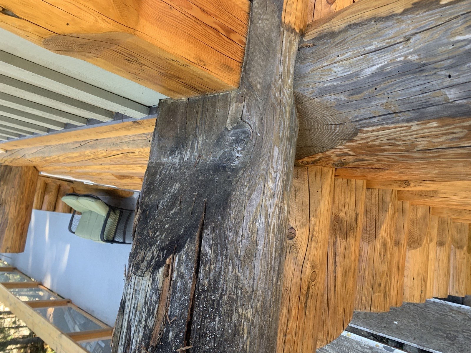 Log restoration Sea to Sky - weathered log beam showing rot before repair